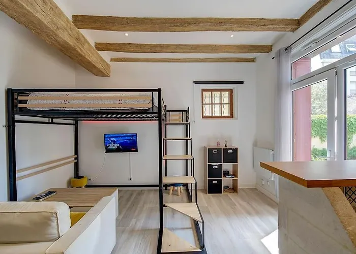 Appartement Au Coeur De Tours